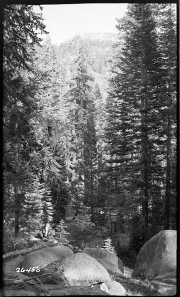 Fish Valley - Granite outcrop on West bank of Rock Creek