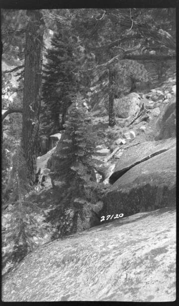 Big Creek General