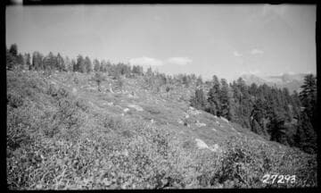 Big Creek, Fish Valley