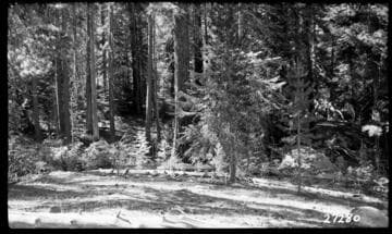 Big Creek, Fish Valley - Rock Creek Portal
