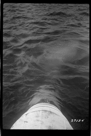 Big Creek, Florence Lake Dam