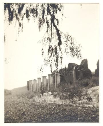 The tragedy of Purissima Concepcion