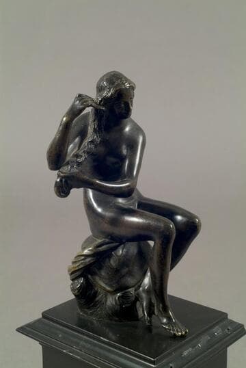 Woman Combing her Hair