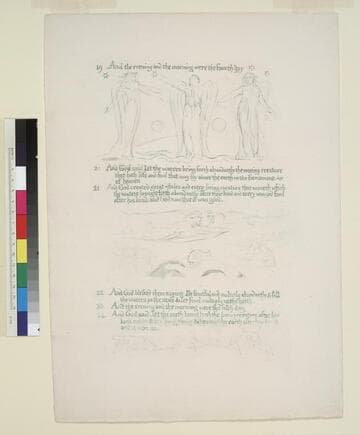 Illustrated manuscript of Genesis : The fourth and fifth days of Creation
