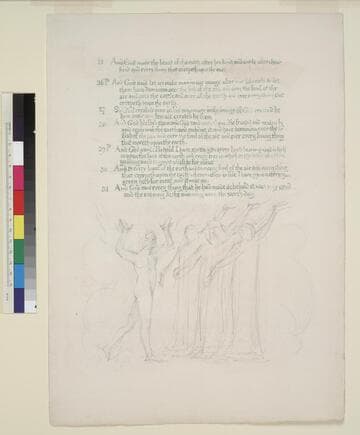 Illustrated manuscript of Genesis : The creation of Adam