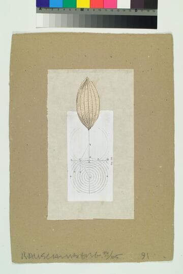 Shirtboard, Morocco, Italy '52