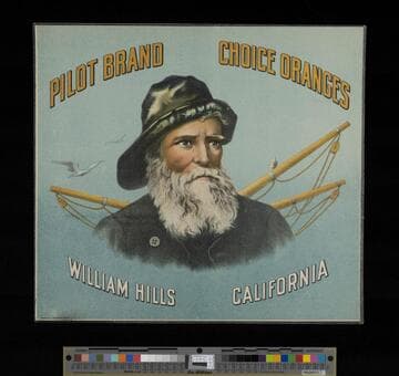 Pilot Brand