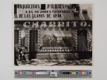 Pulgueria, Mexico DF