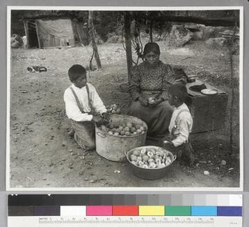 Yokuts peeling peaches, Tule River Reservation