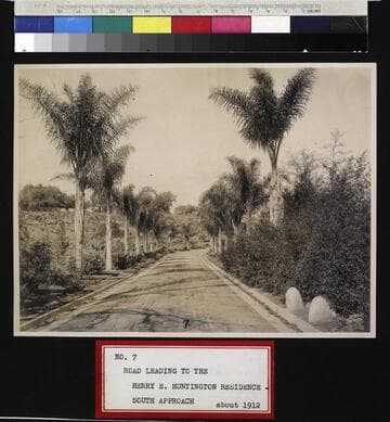 Palm lined drive leading to the Huntington residence, circa 1912