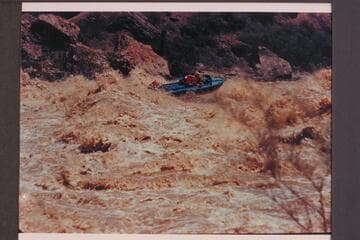 The "Cactus" in Vulcan Rapid