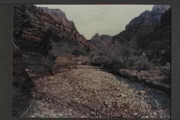 Canyon above upper spring; Diamond Creek
