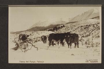 [of Tierra del Fuego]