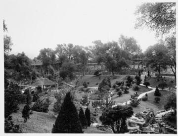 Japanese garden and wisteria pergola, circa 1915