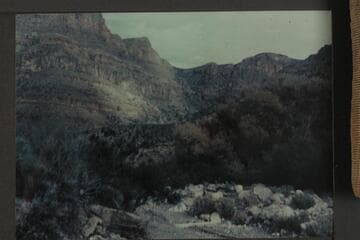 Spring cove and horse route into Robbers Roost CAnyon; Diamond Creek