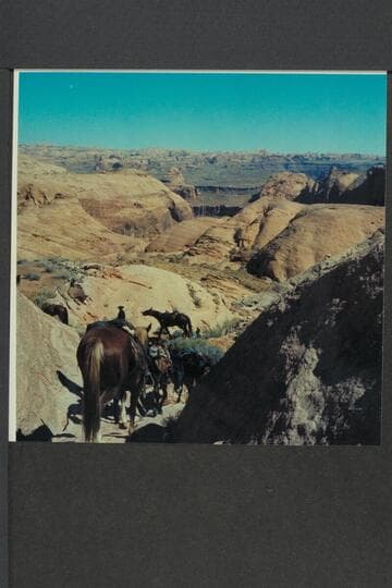 Stock turning into Nasja Joint