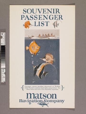 Souvenir passenger list