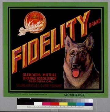 Fidelity brand