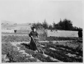 Monk gardening, Mission Santa Barbara