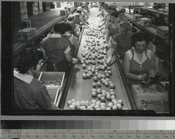 Leffingwell Rancho lemon packing house, Los Angeles County (?). 1936