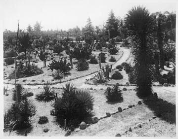 Desert garden, general view, south section