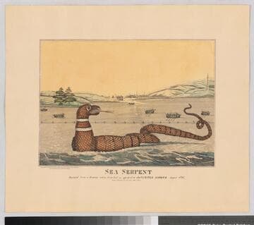 Sea serpent
