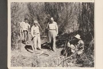 Remnants of Ive's iron steamer "Explorer"