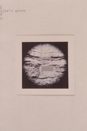 Plaque at Willie's grave