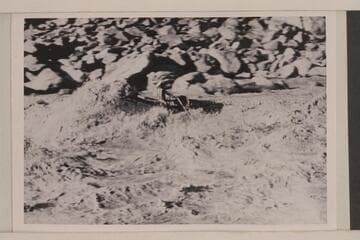 Buzz Holmstrom in action